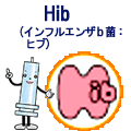 HibiCtGUbہFquj@N`