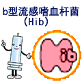 Ըðb:hibu 