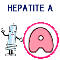 A型肝炎　解説