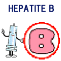 B型肝炎　解説　