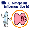 Hib　ワクチンと解説